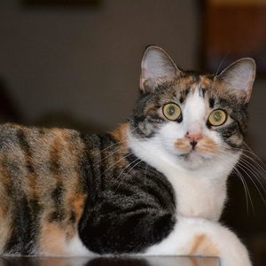 Meet your Posher, William